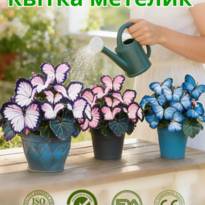 Квітка у формі метелика
