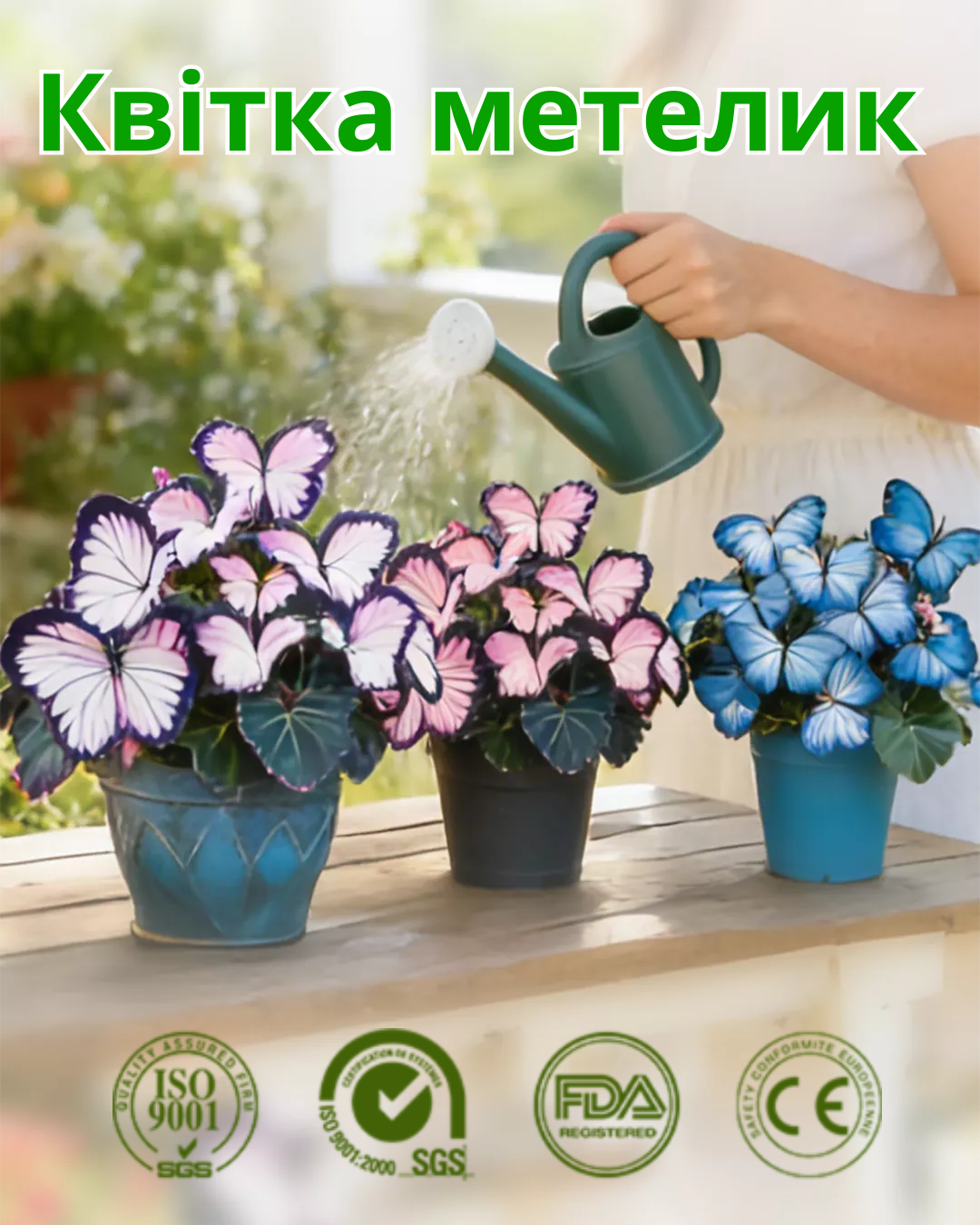 Квітка у формі метелика